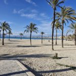 506528212_1218485583640667_2256220080531841932_n