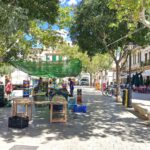 550890685_1313216027500955_6103896537129269709_n